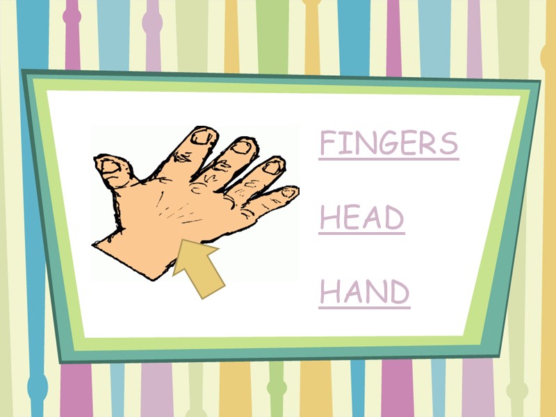 FINGERS  HEAD  HAND